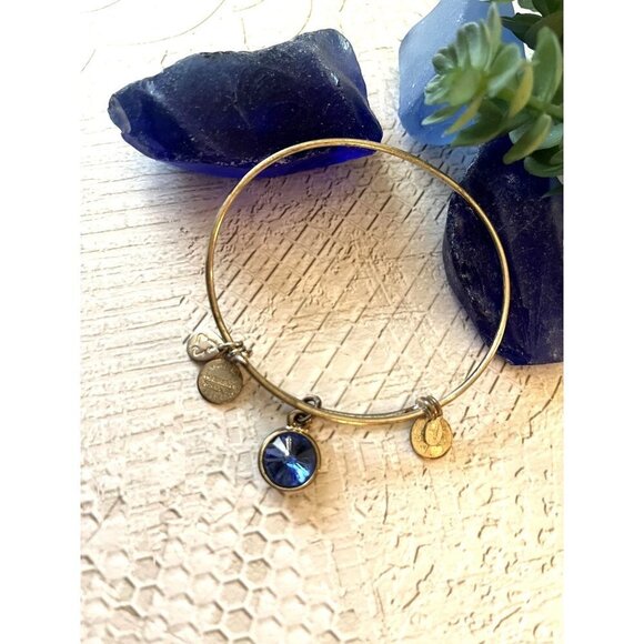 Alex and Ani Saphire Birthstone Bracelet Silver Tone - Picture 3 of 9